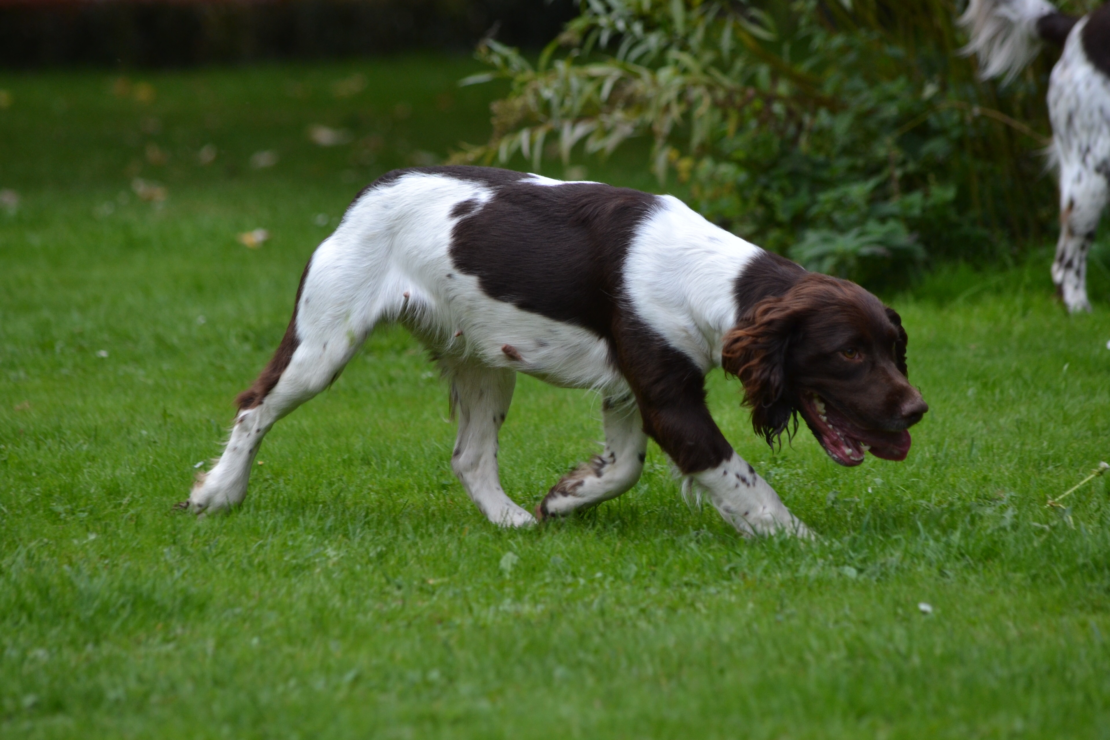 Help purdey Wild Bay